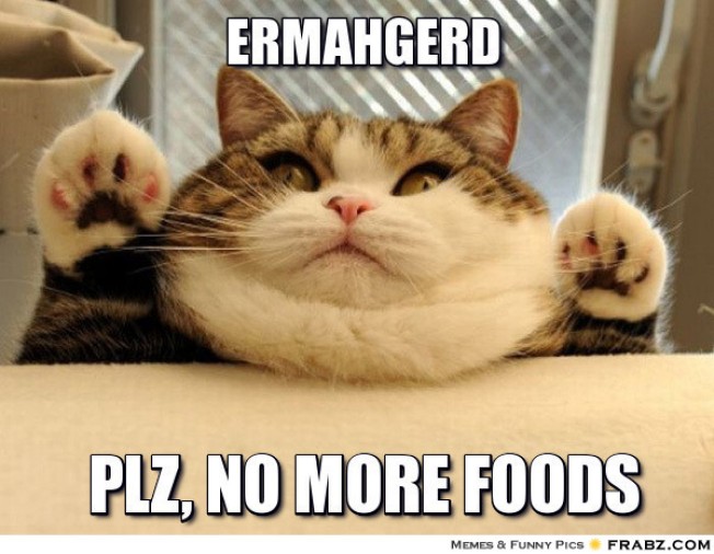 http://www.freeallimages.com/wp-content/uploads/2014/09/fat-cat-memes-3.jpg